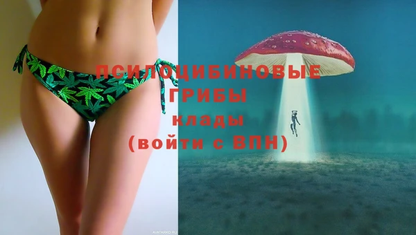 винт Баксан