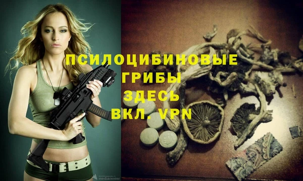 твердый Балабаново