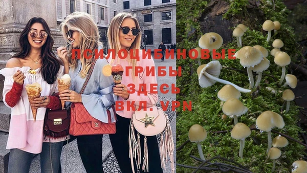винт Баксан