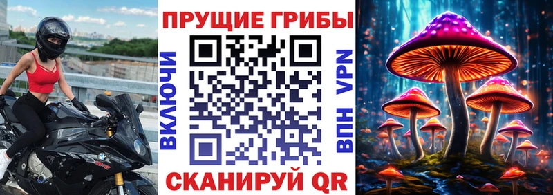 Галлюциногенные грибы Magic Shrooms  Мглин 